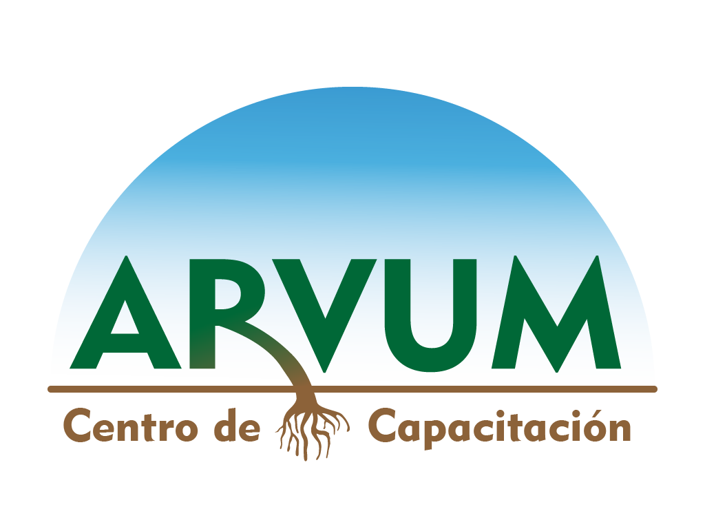 Logo Arvum